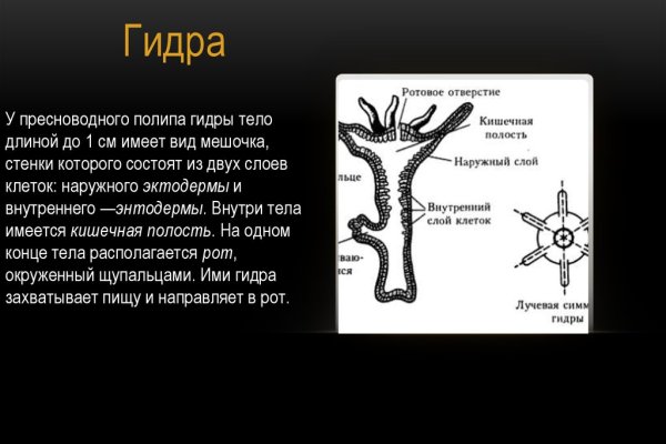 Через какой браузер заходить на кракен